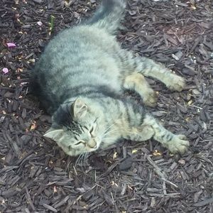 Meet your Posher, Jeffrey